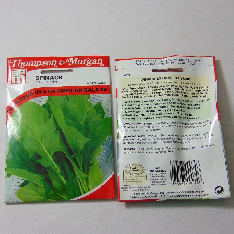 Example of Spinat Mikado F1 per pack of 500 seeds as you get