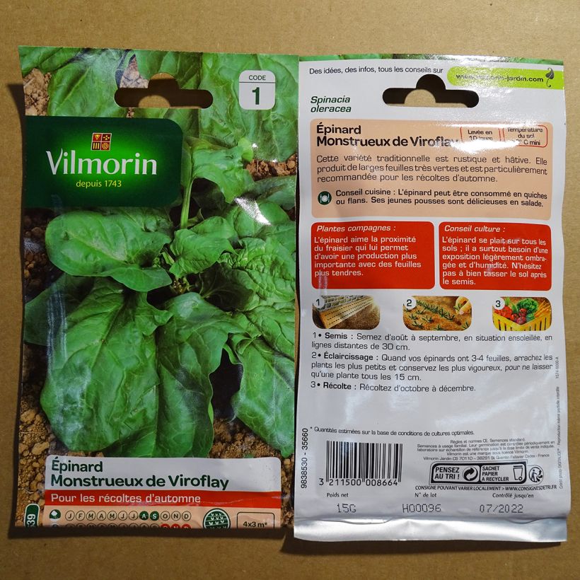 Example of Spinat Monstrueux de Viroflay - Vilmorin per pack of 1500 seeds (15g) as you get