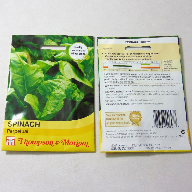 Example of Rote Bete Perpetual per pack of 250 seeds as you get