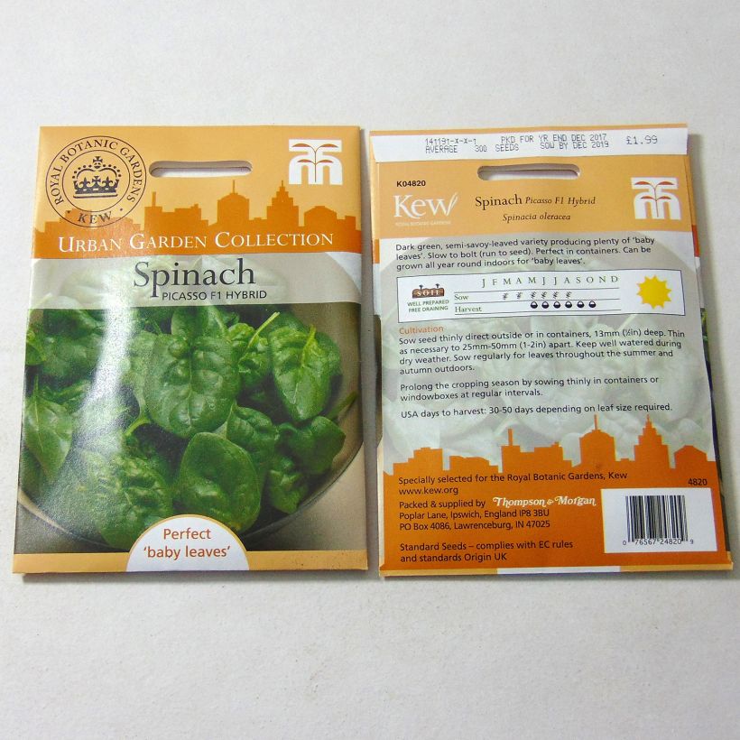 Example of Spinat Picasso F1 per pack of 300 seeds as you get