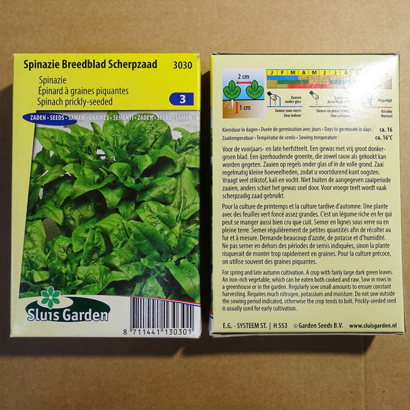 Example of Spinat à graines piquantes per pack of 5000 seeds (50g) as you get