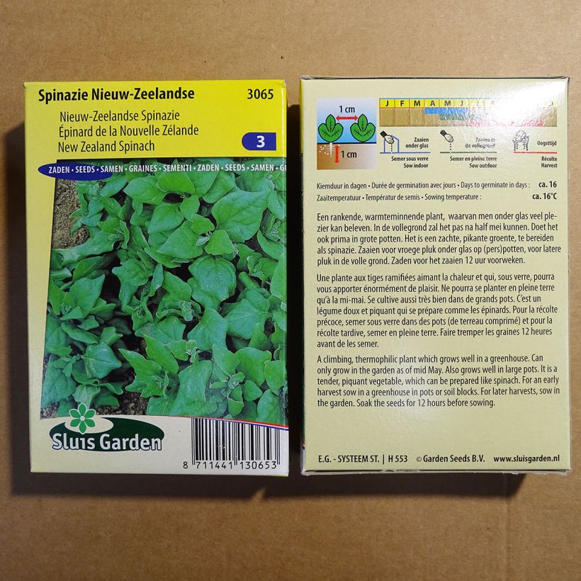 Example of Neuseelandspinat - Tetragonia tetragonioides per pack of 2500 seeds (25g) as you get