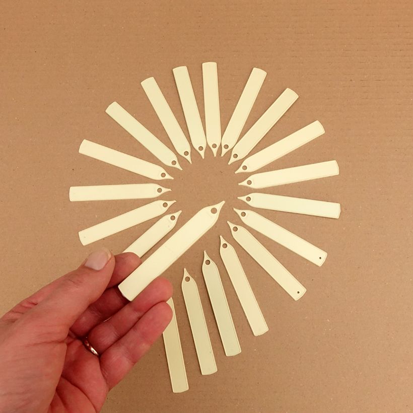 Beispiel eines Exemplars von Schmale Etiketten zum Pflanzen in Elfenbein Box wie geliefert