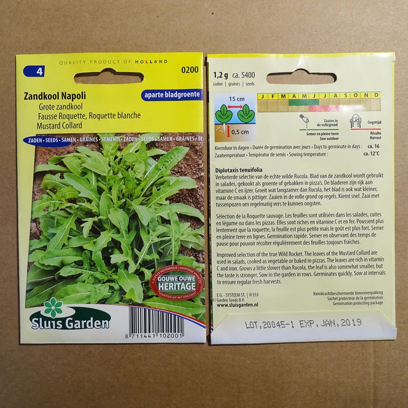 Example of Schmalblättriger Doppelsame - Diplotaxis tenuifolia per pack of 5400 seeds (1g) as you get