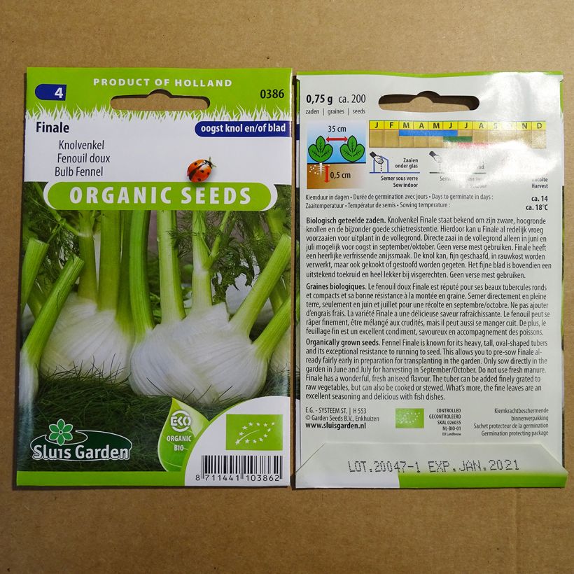 Example of Fenchel Finale per pack of 250 seeds (1g) as you get