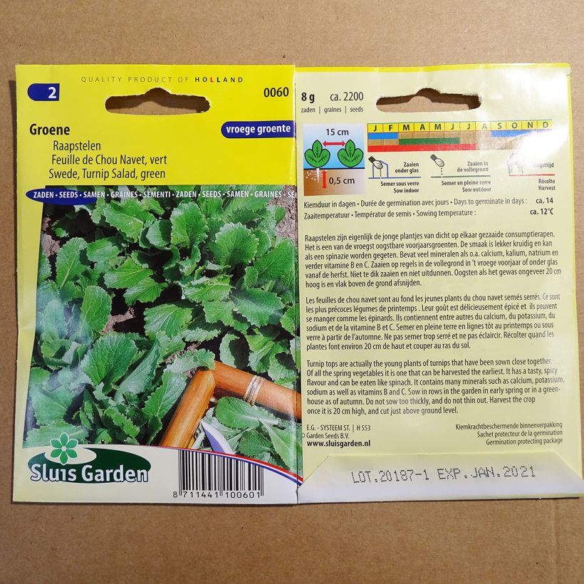 Example of Rübenkohl Navet vert per pack of 2200 seeds (8g) as you get