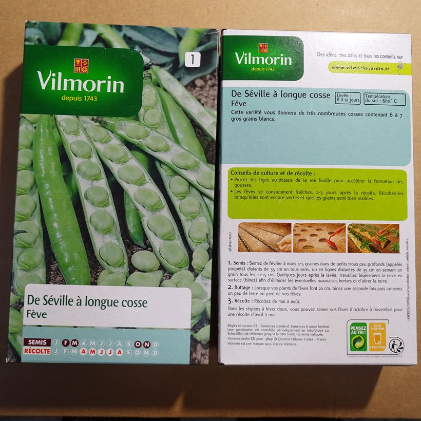 Example of Ackerbohne de Séville à Longue cosse - Vilmorin per pack of 125 seeds (250g) as you get