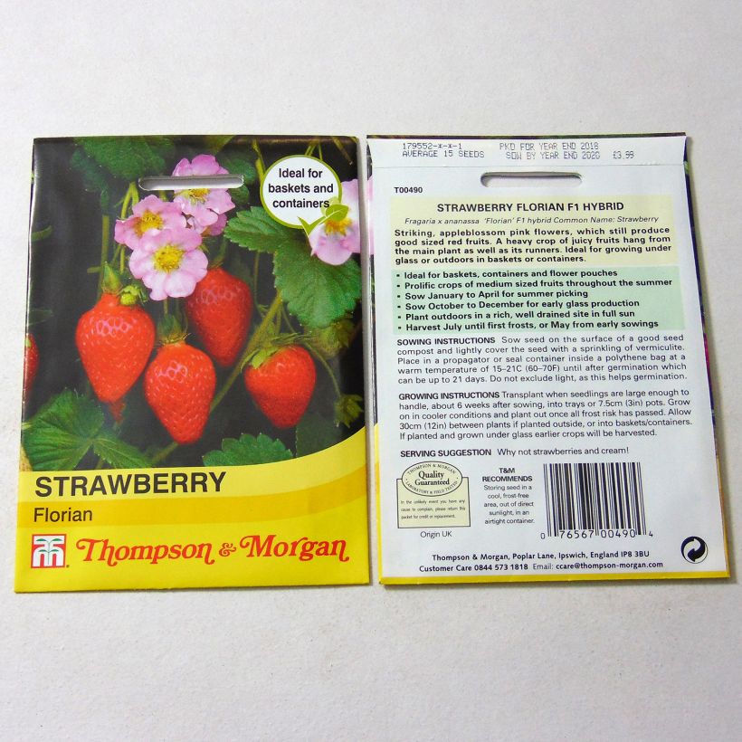 Example of Erdbeere Florian per pack of 15 seeds as you get