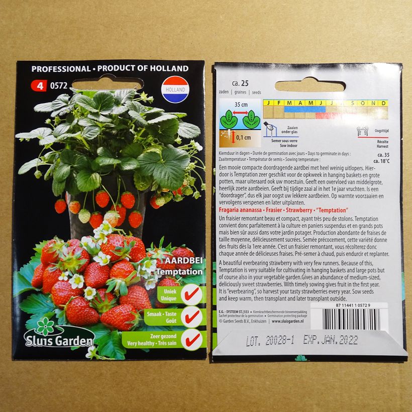 Example of Erdbeer Temptation per pack of 25 seeds as you get