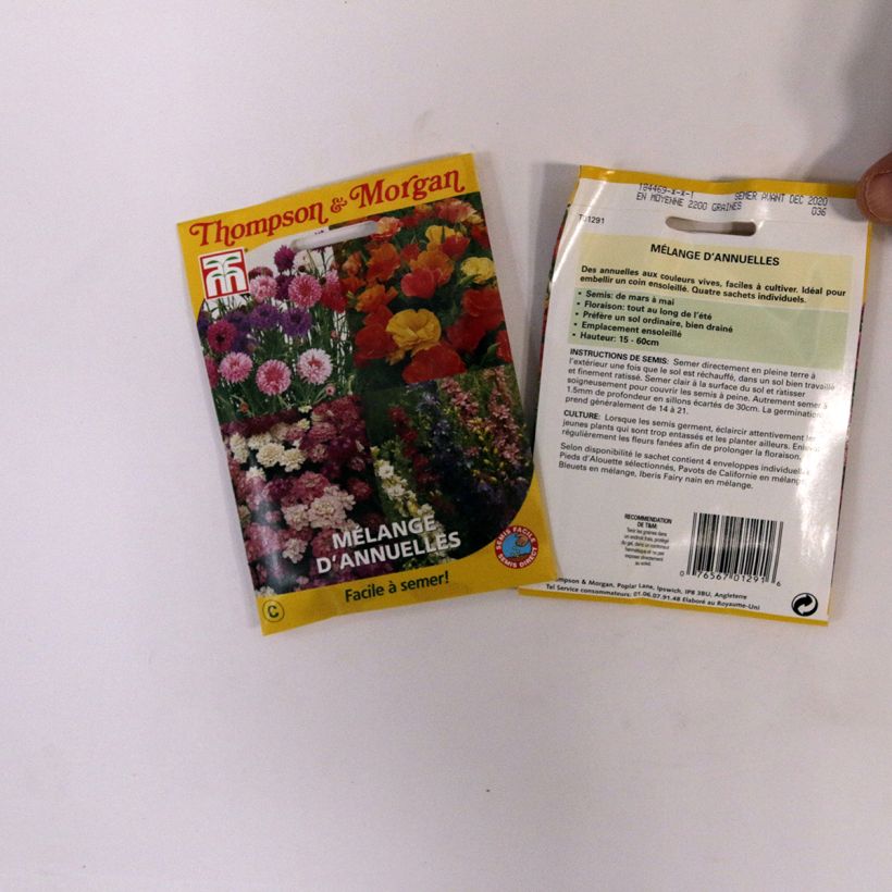 Example of Samen Mischung einjähriger Pflanzen - Easy Annuals Fairy Mixed per 2 g seed pack as you get