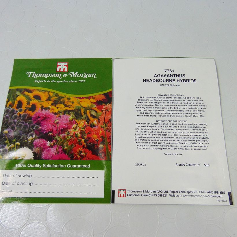 Example of Agapanthus hybride Headbourne (Samen) - Schmucklilie per pack of 22 seeds as you get
