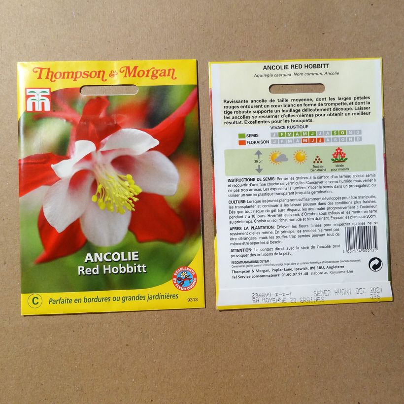 Example of Aquilegia caerulea Red Hobbit (Samen) - Garten-Akelei per pack of 20 seeds as you get