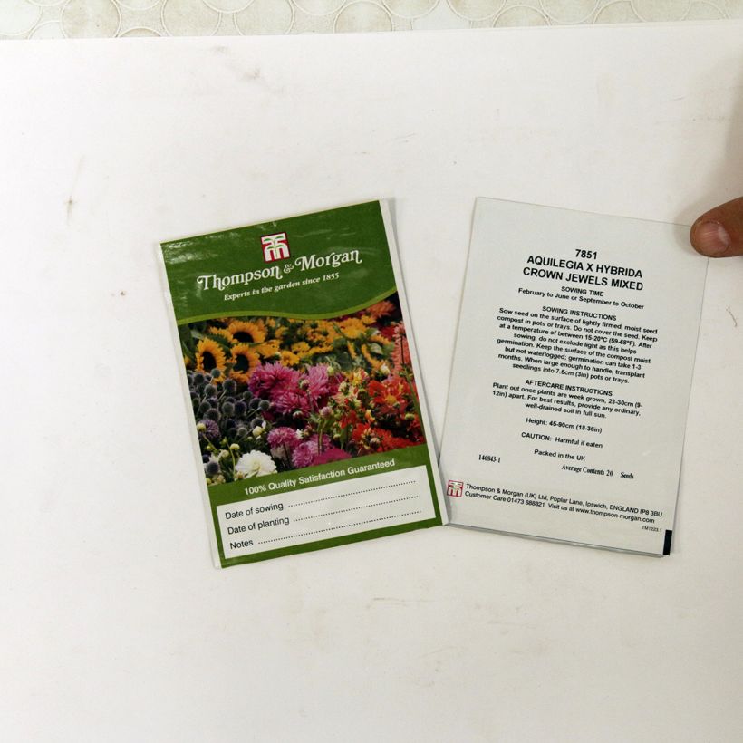 Example of Aquilegia Crown Jewels Mixed (Samen) - Garten-Akelei per pack of 20 seeds as you get
