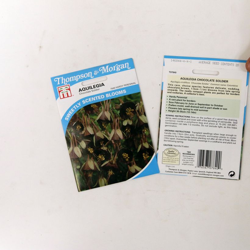 Example of Aquilegia viridiflora Chocolate Soldier (Samen) - Akelei per pack of 20 seeds as you get