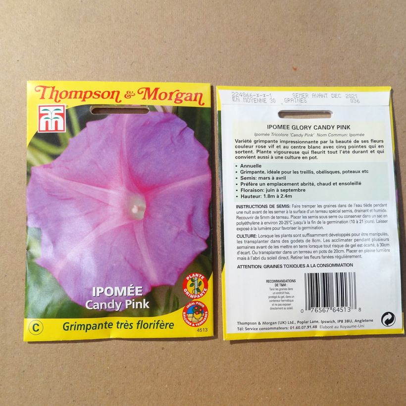 Example of Ipomoea purpurea Candy Pink (Samen) - Prunkwinde per 1.5 g seed pack as you get