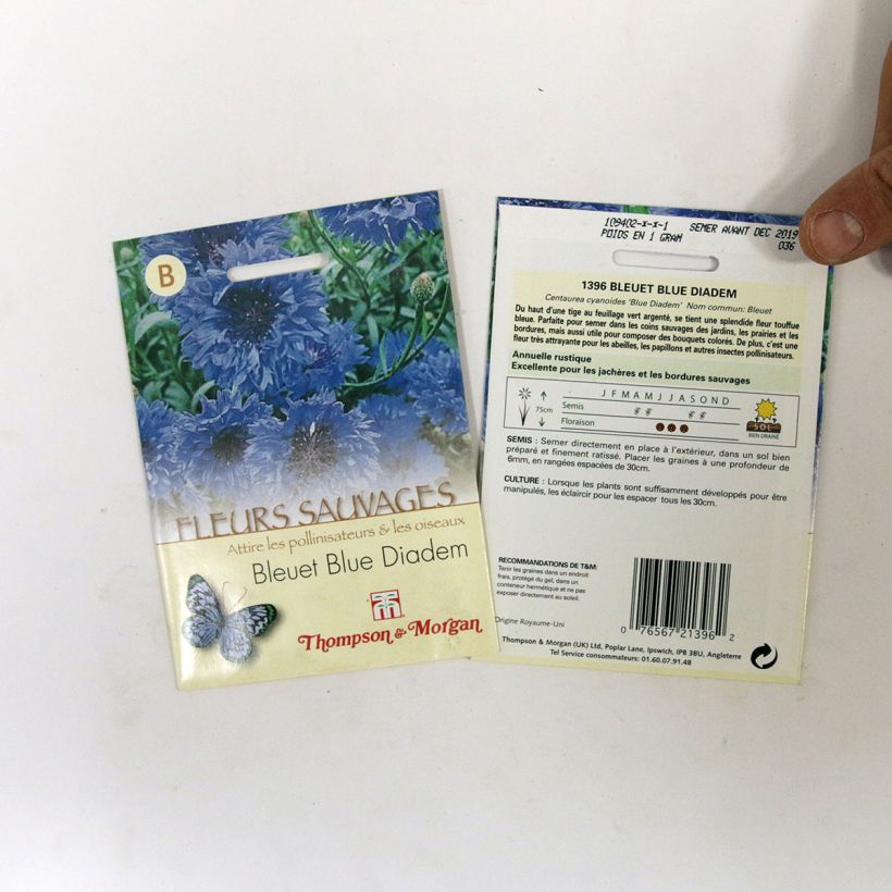 Example of Kornblume Blue Diadem (Samen) - Centaurea cyanus per pack of 200 seeds as you get