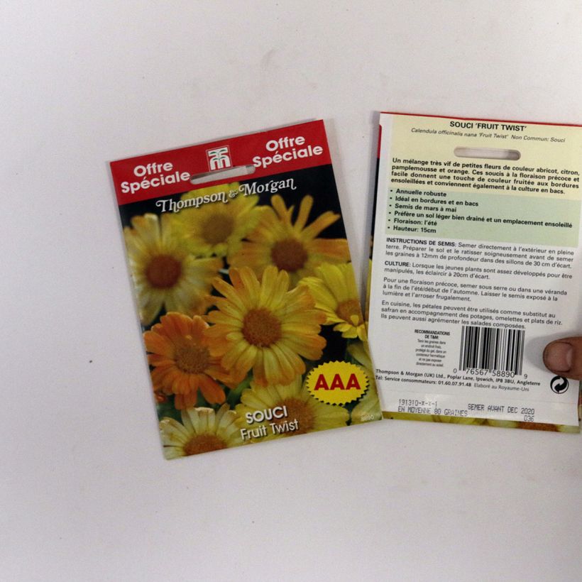Example of Garten-Ringelblume Nana Fruit Twist - Calendula per pack of 80 seeds as you get