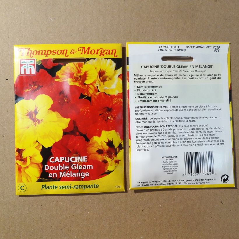 Example of Große Kapuzinerkresse Double Gleam per pack of 30 seeds as you get