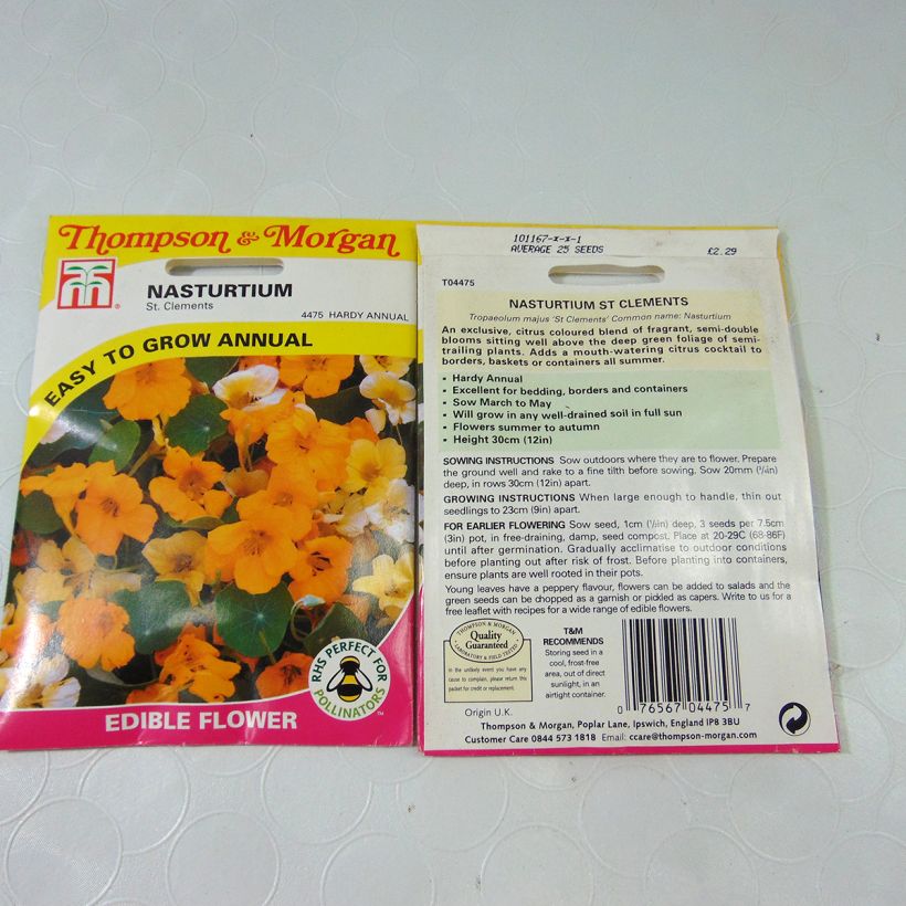 Example of Große Kapuzinerkresse St Clements per pack of 25 seeds as you get