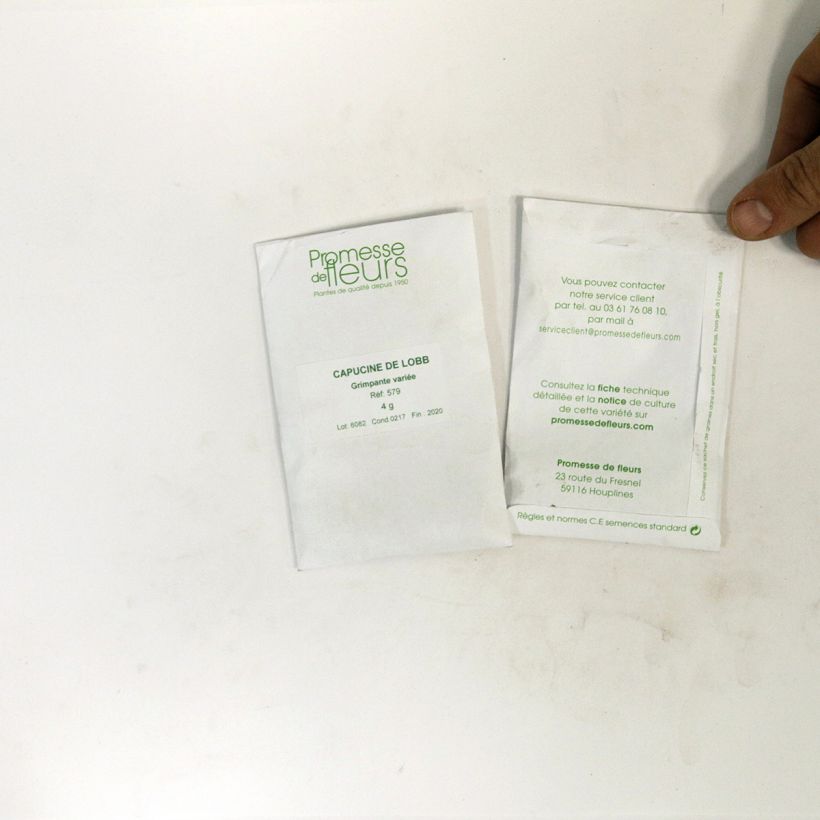 Example of Große Kapuzinerkresse Gleam per pack of 35 seeds (5g) as you get
