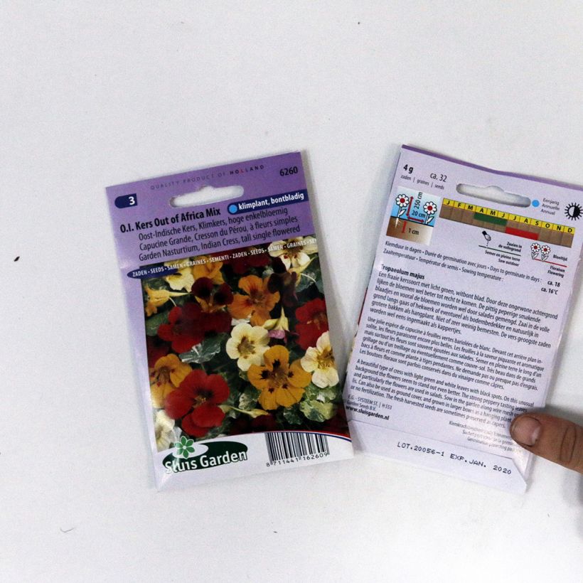 Example of Große Kapuzinerkresse Out Of Africa per pack of 32 seeds as you get