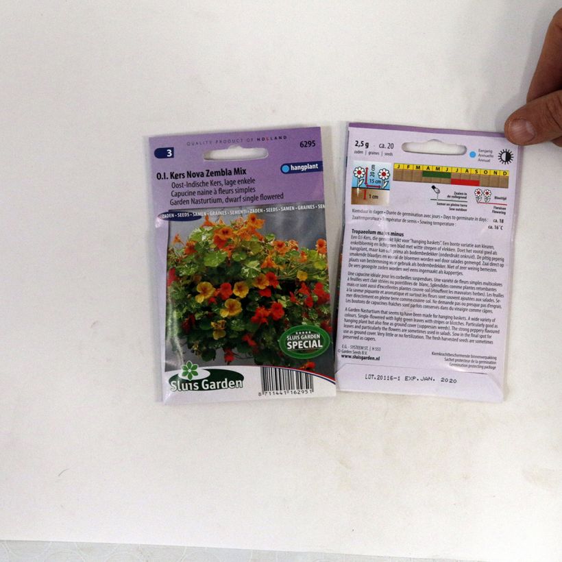 Example of Niedrige Kapuzinerkresse Nova Zembla per pack of 20 seeds as you get
