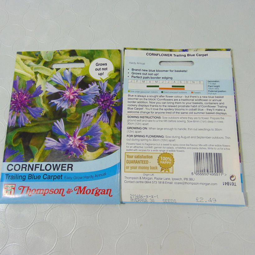 Example of Kornblume Trailing Blue Carpet (Samen) - Centaurea cyanoides per pack of 30 seeds as you get