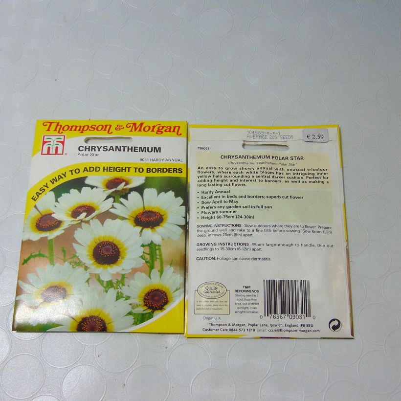 Example of Chrysanthemum carinatum Polar Star (Samen) - Wucherblume per pack of 300 seeds (1g) as you get