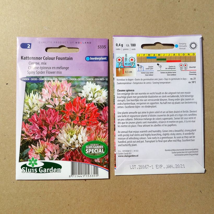 Example of Spinnenpflanze Colour Fountain Mix (Samen) - Cleome per pack of 450 seeds (1g) as you get