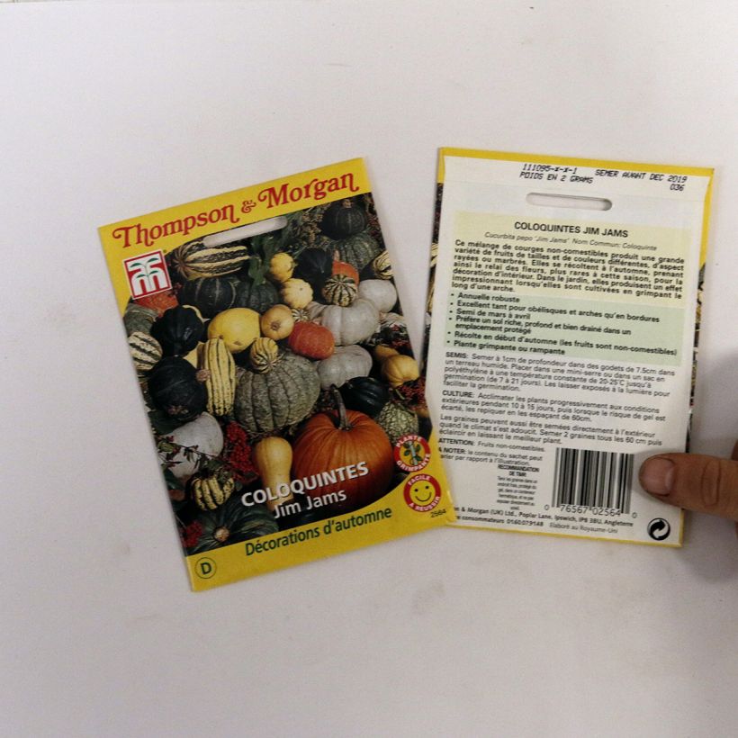 Example of Zierkürbis kleinfrüchtige Mischung Jim Jams per pack of 31.5 seeds (2.1g) as you get