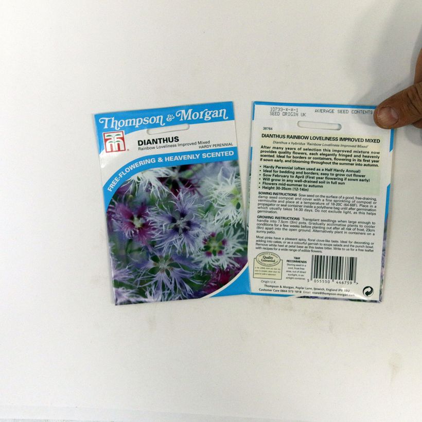 Example of Garten-Nelke Rainbow Loveliness Improved Mixed (Samen) - Dianthus per pack of 30 seeds as you get