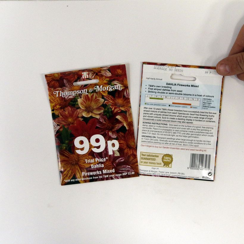 Example of Dahliensamen Fireworks Mixed (Samen) per pack of 12 seeds as you get