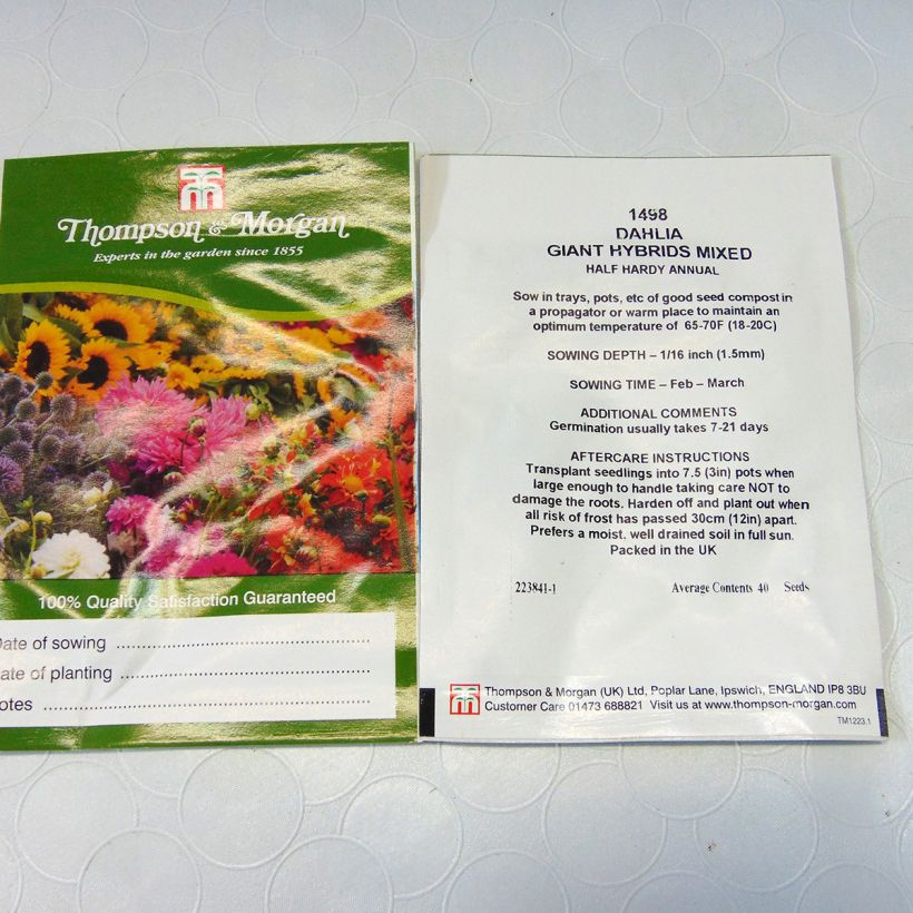Example of Dahliensamen Giant Hybrids Mixed (Samen) per pack of 40 seeds as you get
