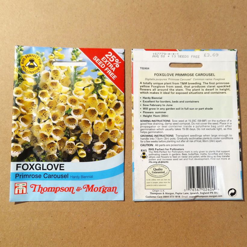 Example of Fingerhut Primrose Carousel (Samen) - Digitalis purpurea per pack of 50 seeds as you get