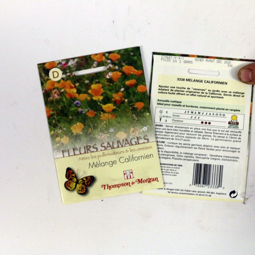 Example of Wildblumensamen - Kalifornische Mischung per 2 g seed pack as you get