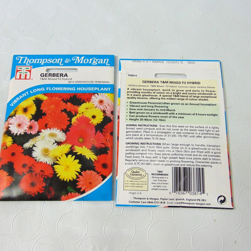 Example of Gerbera T&M Mixed Hybride F2 (Samen) per pack of 50 seeds (0,1g) as you get