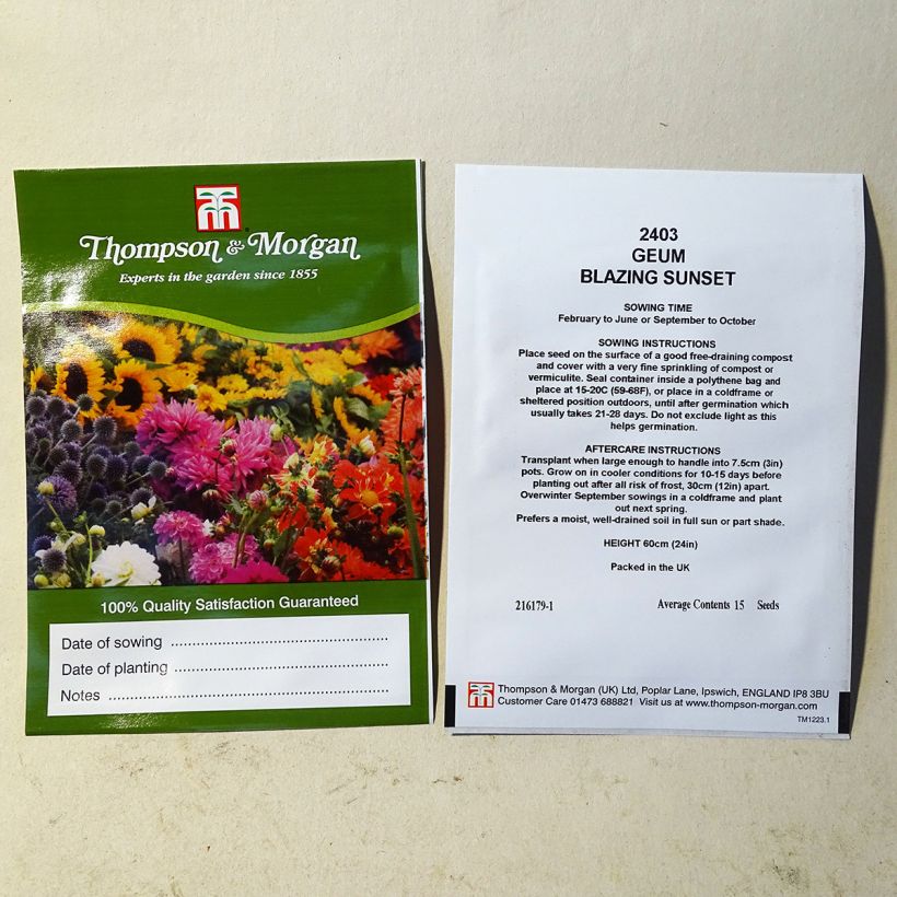 Example of Geum coccineum Flore Pleno Blazing Sunset (Samen) - Scharlachrote Nelkenwurz per pack of 15 seeds as you get