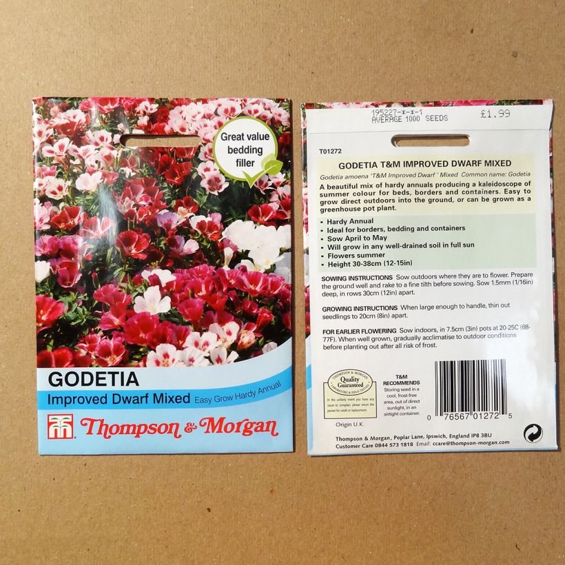 Example of Klarkie Improved Dwarf mix (Samen) - Godetia amoena per pack of 1700 seeds (1g) as you get