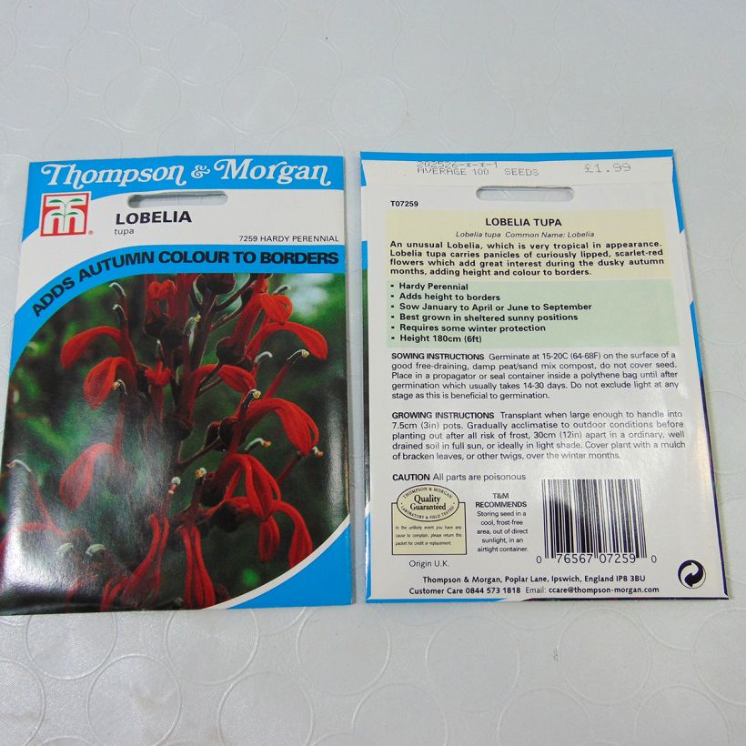Example of Teufelstabak (Samen) - Lobelia tupa per pack of 100 seeds as you get