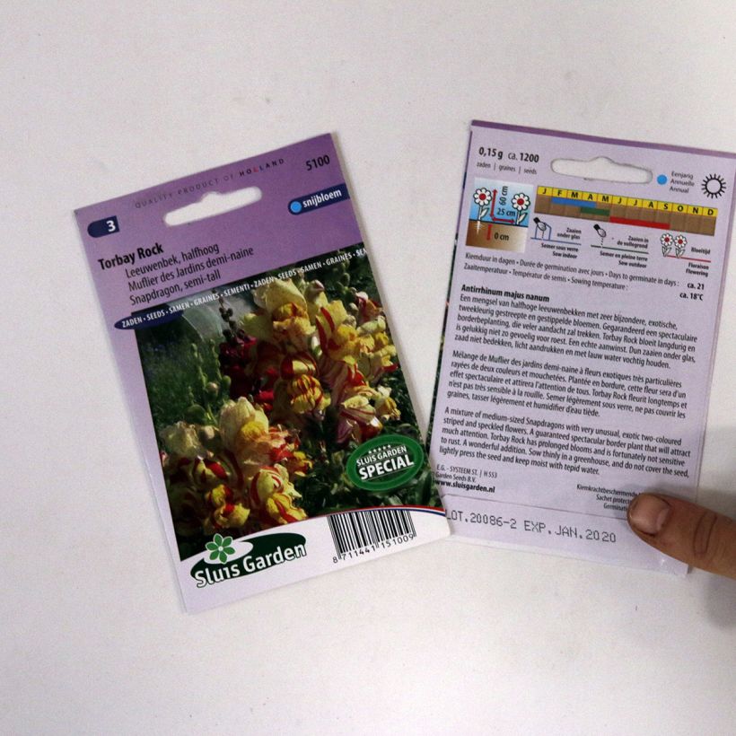 Example of Löwenmäulchen Torbay Rock (Samen) - Antirrhinum per pack of 950 seeds (0,15g) as you get