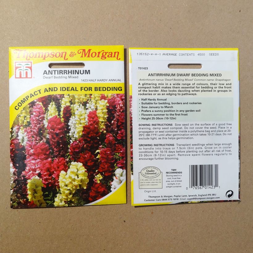 Example of Löwenmäulchen Nanum Dwarf Bedding Mixed (Samen) - Antirrhinum per pack of 4500 seeds as you get