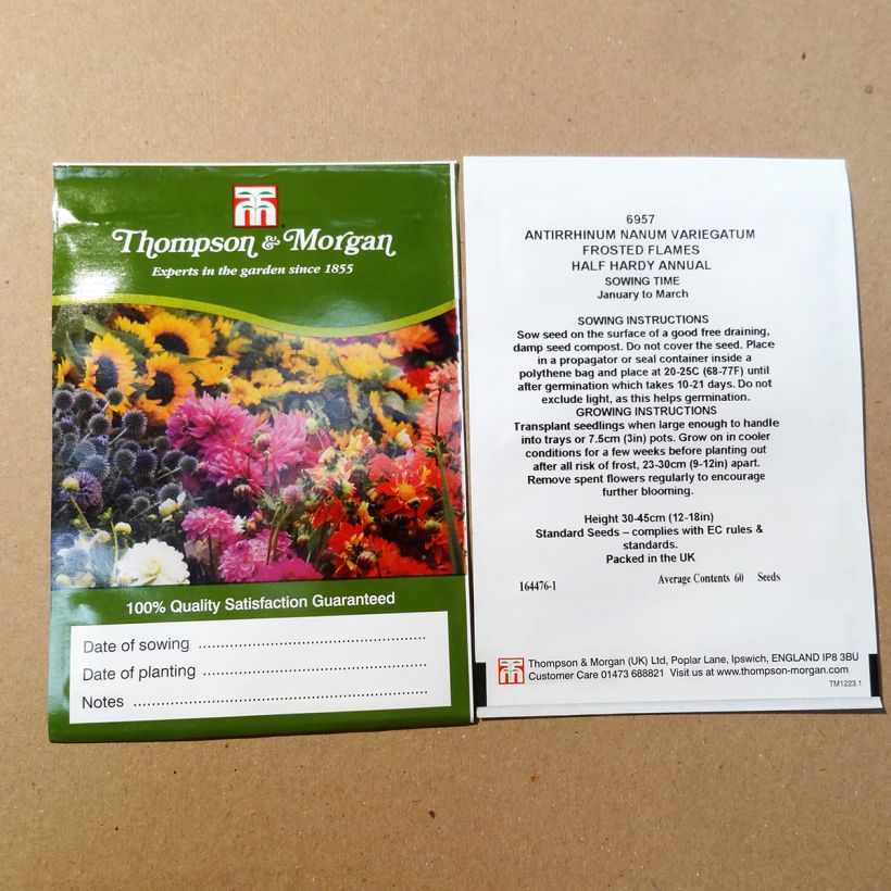 Example of Löwenmäulchen Frosted Flames (Samen) - Antirrhinum per pack of 100 seeds as you get