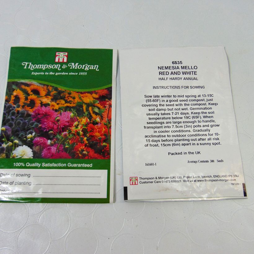 Example of Nemesia Mello Red & White (Samen) per pack of 850 seeds (0,2g) as you get