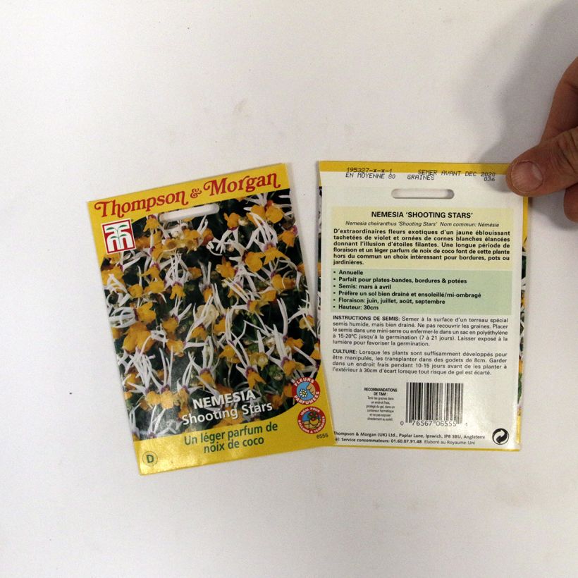 Example of Nemesia cheiranthus Shooting Stars (Samen) per 0.012 g seed pack as you get