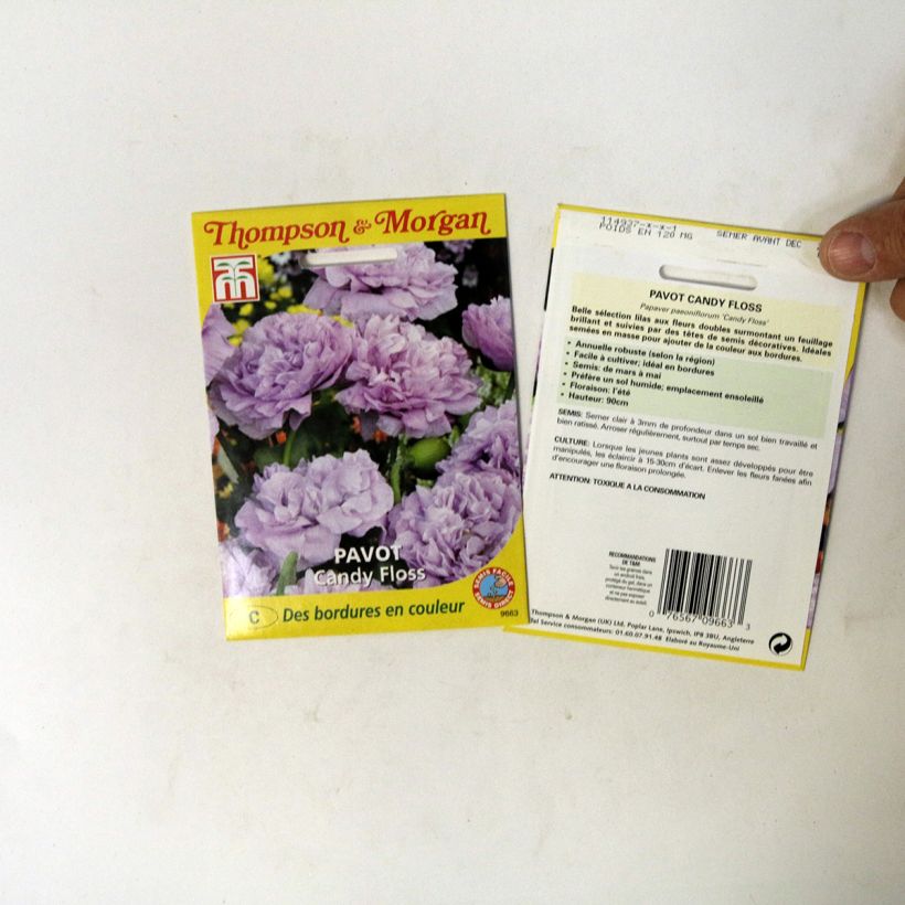 Example of Päonienmohn Candy Floss (Samen) - Papaver per pack of 300 seeds as you get
