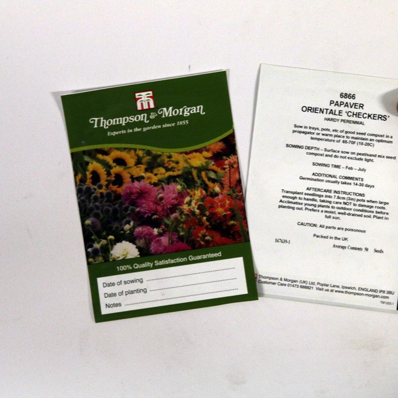 Example of Orientalischer Mohn Checkers (Samen) - Papaver orientale per pack of 50 seeds as you get