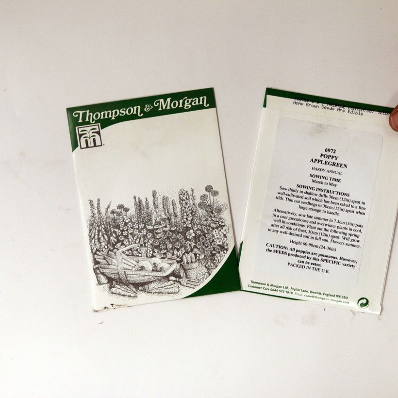 Example of Schlafmohn Applegreen (Samen) - Papaver per pack of 80 seeds as you get