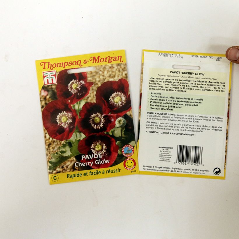 Example of Schlafmohn Cherry Glow (Samen) - Papaver per pack of 200 seeds as you get