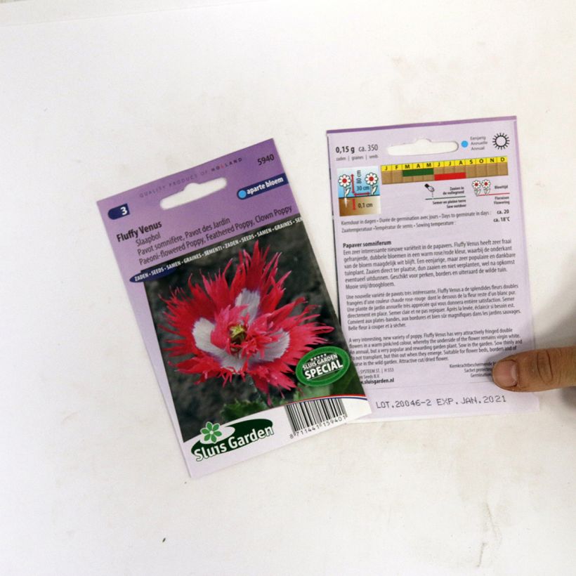 Example of Schlafmohn Fluffy Venus (Samen) - Papaver per pack of 800 seeds as you get