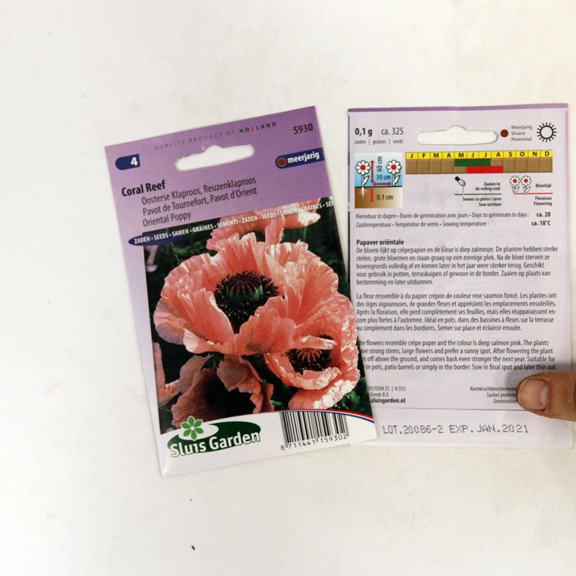 Example of Orientalischer Mohn Coral Reef (Samen) - Papaver orientale per pack of 400 seeds (0,1g) as you get